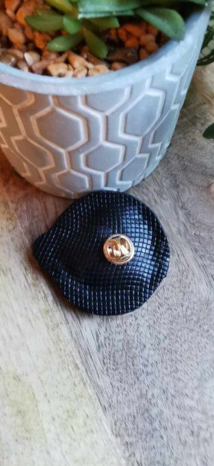 Pin's coccinelle  ref PNS24-10